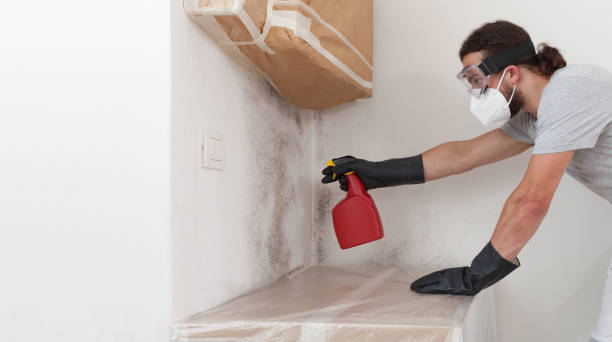 Professional Attic Mold Removal technician working in Clarklake, MI