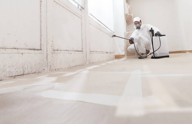 24/7 Emergency Attic Mold Removal experts in Clarklake, MI
