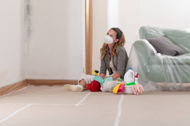 Trusted Attic Mold Removal service in Clarklake, MI - Cheap Mold Removal