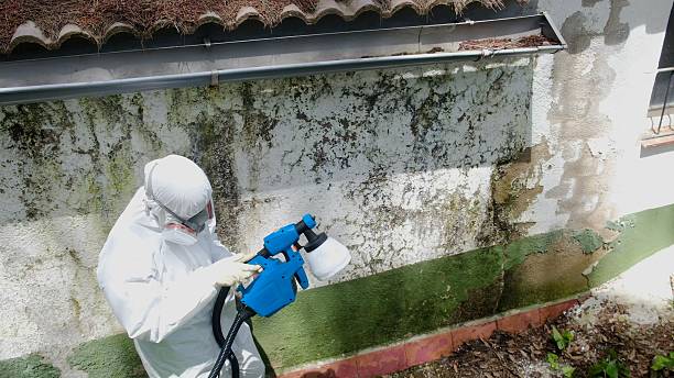 Trusted Mold Testing service in Clarklake, MI - Cheap Mold Removal